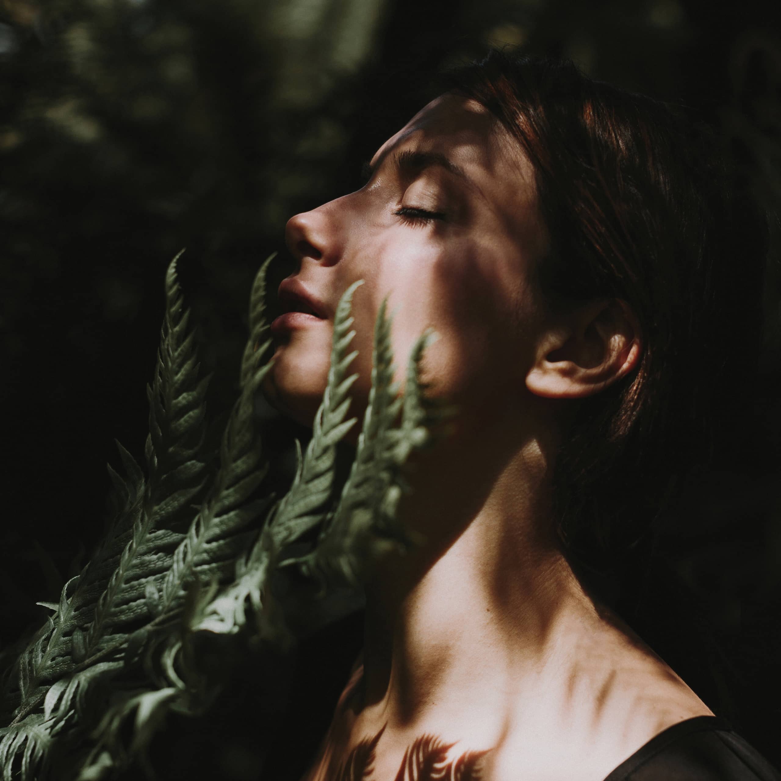 Plant Power