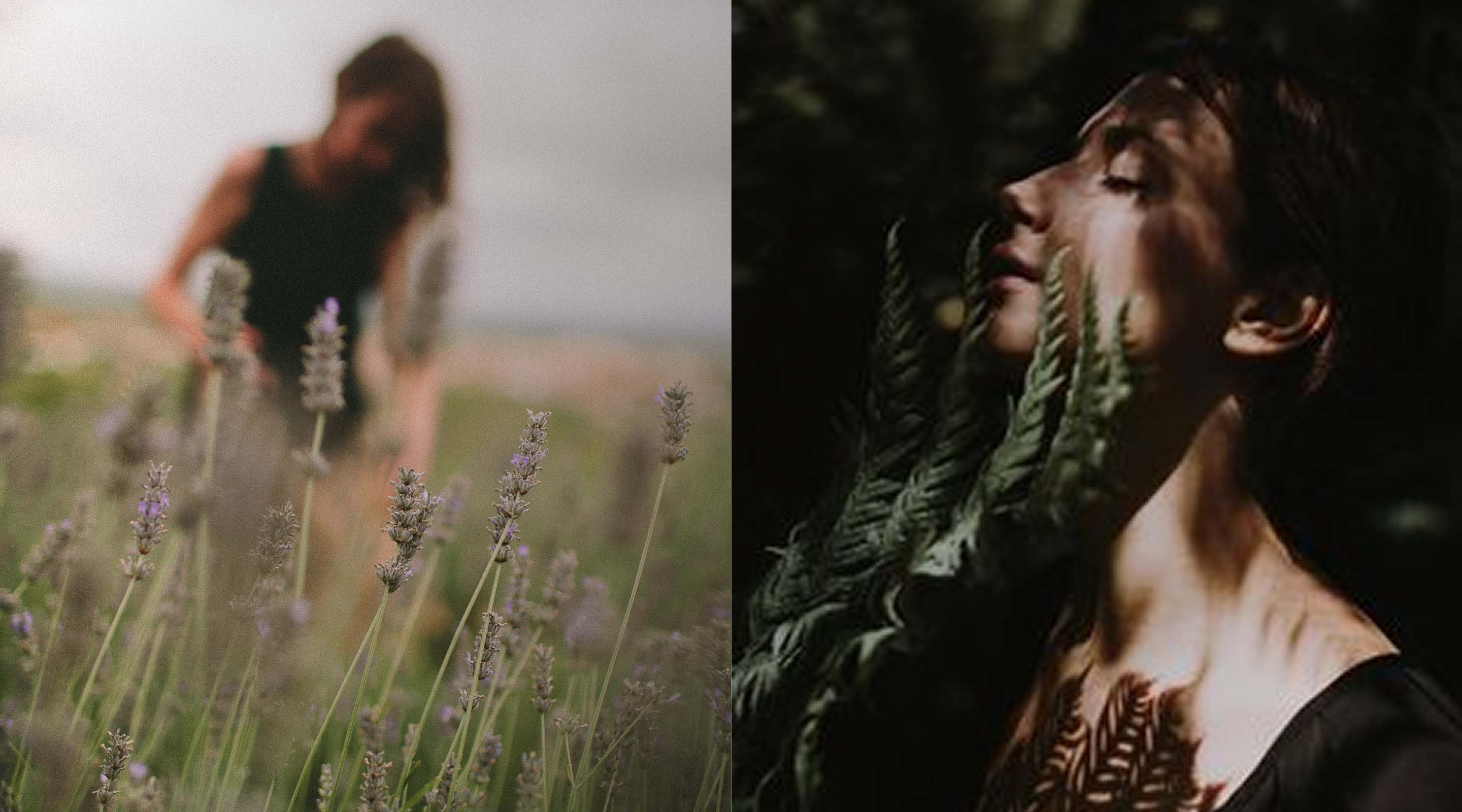Lavana Wild Beauty