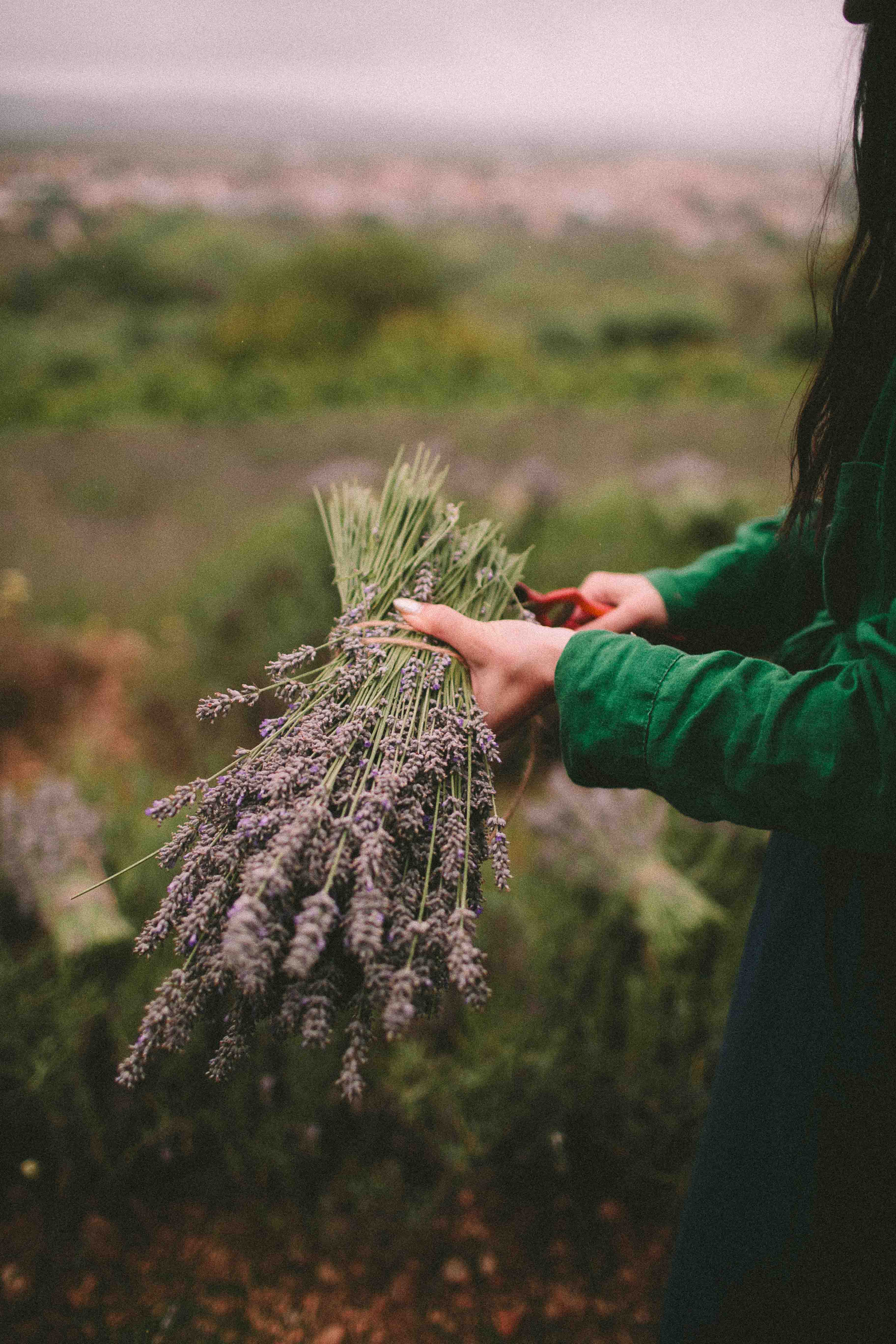 The LAVANA skincare line is created from potent botanical blends
